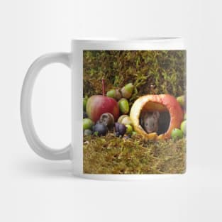 wild house mouse  in a apple Mug